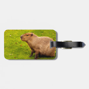 Etiqueta De Bagagem Capivara