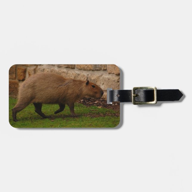 Etiqueta De Bagagem capivara (Frente Horizontal)