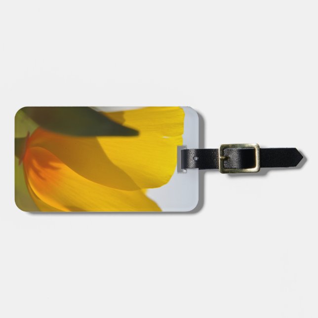 Etiqueta De Bagagem Cápsula cheia de luz (Frente Horizontal)