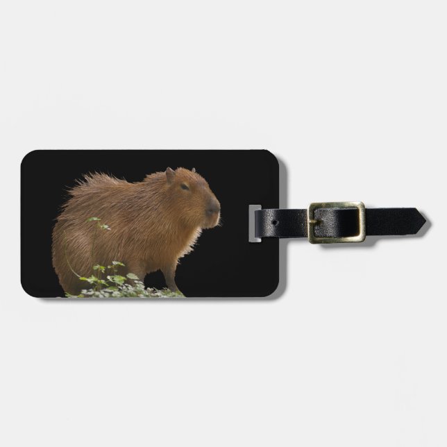 Etiqueta de Bagagem Capybara (Frente Horizontal)