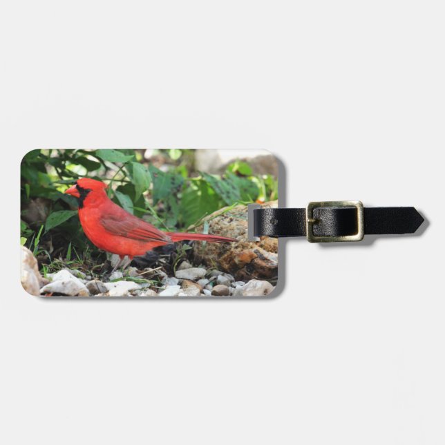 Etiqueta De Bagagem Cardinal (Frente Horizontal)