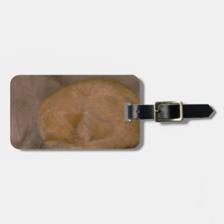 Etiqueta De Bagagem Cartões listrados alaranjados do gato, T, pulso de