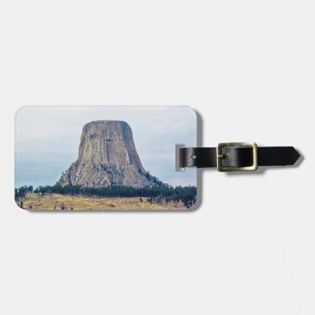 Etiqueta De Bagagem Casa de um Urso (Frente Horizontal)