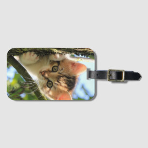 Etiqueta De Bagagem Cat, Natureza, Kitten