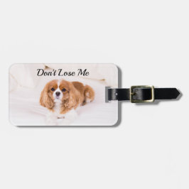 Etiqueta De Bagagem Cavalier King Charles Não Me Perca