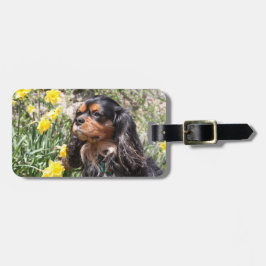 Etiqueta De Bagagem Cavalier King Charles Spaniel Irmão & Irmã 