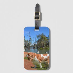 Etiqueta De Bagagem Cavalier Spaniel E Pelicanos,