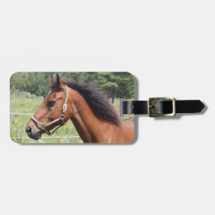 Etiqueta De Bagagem Cavalo