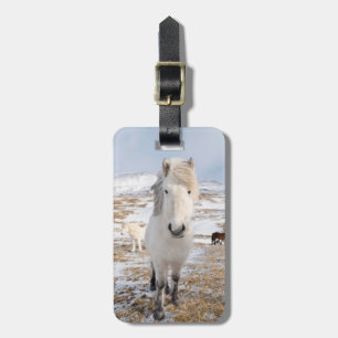 Etiqueta De Bagagem Cavalo Islandês Branco, Islândia