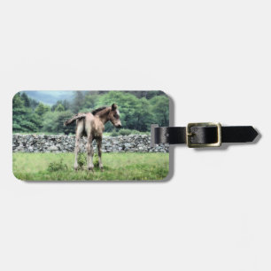 ETIQUETA DE BAGAGEM CAVALOS