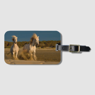 Etiqueta De Bagagem Cavalos brancos que funcionam na praia Camargue,