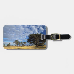Etiqueta De Bagagem Cena do Deserto de Kalahari, Transfronteira de Kga