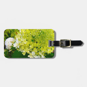 Etiqueta De Bagagem Chartreuse Verde, Limelight Hortênsia,