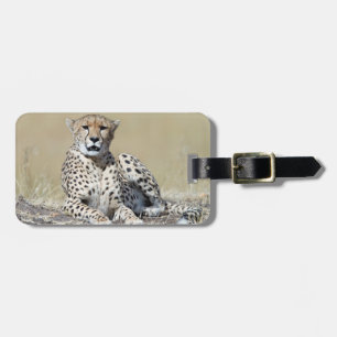 Etiqueta De Bagagem Cheetah na foto de Masai Mara no Quênia