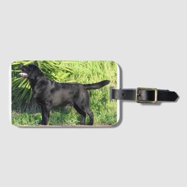 Etiqueta De Bagagem CHEIO de laboratório preto LR (Frente Horizontal)