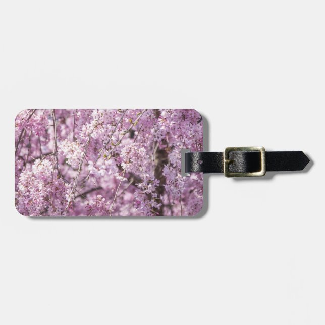 Etiqueta De Bagagem Cherry Blossom Primavera (Frente Horizontal)