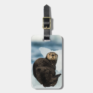 Etiqueta De Bagagem Chilly Sea Otter