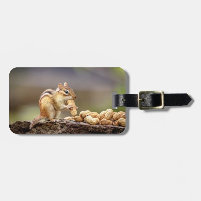 Etiqueta De Bagagem Chipmunk comendo amendoim (Frente Horizontal)