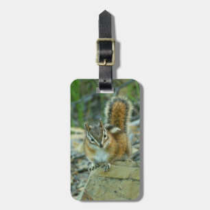 Etiqueta De Bagagem Chipmunk no Parque Nacional Glacier I