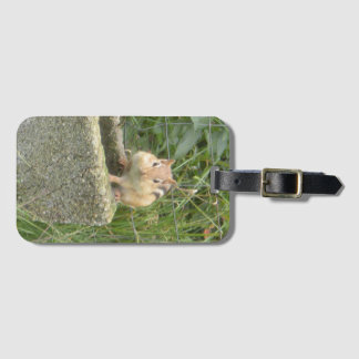Etiqueta De Bagagem Chipset Cute