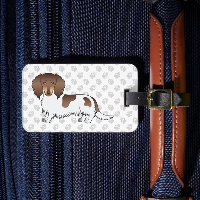 Etiqueta De Bagagem Chocolate & Tan Piebald Dachshund Longo de Cabelo  (Frente Insitu 4)