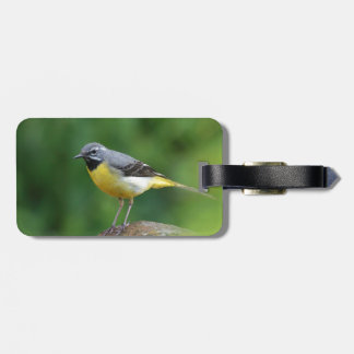 Etiqueta De Bagagem Cinza Wagtail - pássaro