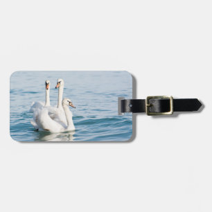 Etiqueta De Bagagem Cisnes