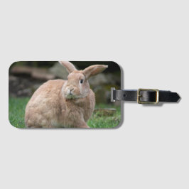 Etiqueta De Bagagem Coelhinho de gengibre bonito com orelhas grandes