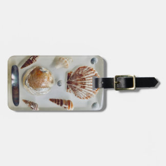 Etiqueta De Bagagem Coleção de Shell de Praia