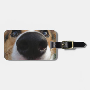Etiqueta De Bagagem Coleção do nariz de cão do Corgi de Galês