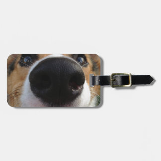 Etiqueta De Bagagem Coleção do nariz de cão do Corgi de Galês