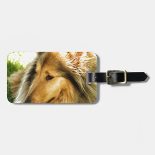 Etiqueta De Bagagem Collie