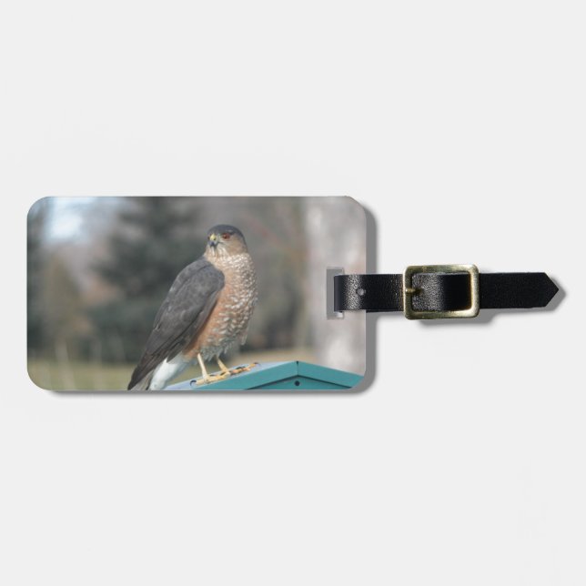 Etiqueta De Bagagem Coopers Hawk (Frente Horizontal)