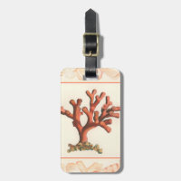 Coral Vermelho com Borda Conch Shell