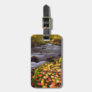 Etiqueta De Bagagem Cores de Outono ao longo do McGee Creek