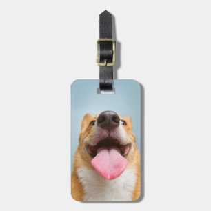 Etiqueta De Bagagem Corgi muito feliz das imagens de Getty
