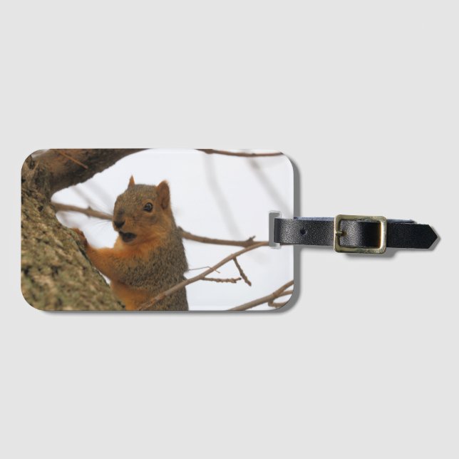 Etiqueta De Bagagem Coroa (Frente Horizontal)