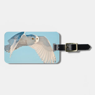 Etiqueta De Bagagem Coruja nevado em vôo