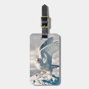 Etiqueta De Bagagem Coruja nevado que descola da neve