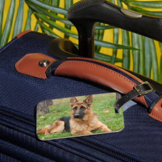 Etiqueta De Bagagem Create Your Own Pet Photo Custom Picture