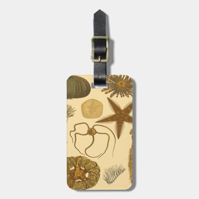 Etiqueta De Bagagem Criaturas do Mar Subaquático (Frente Vertical)