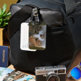 Etiqueta De Bagagem Crie Sua Própria Foto Personalizada de Gato de Est
