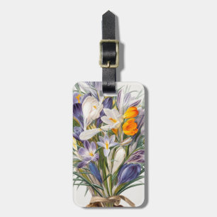 Etiqueta De Bagagem Crocus Primavera Fllower Arte Botânica