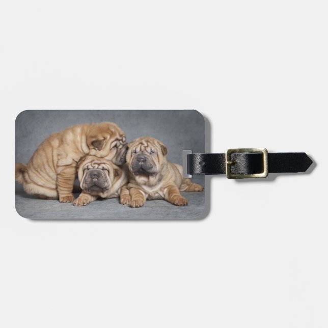 Etiqueta De Bagagem Cuppies de Shar Pei (Frente Horizontal)