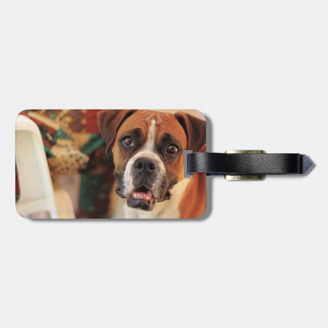 Etiqueta De Bagagem Cute Boxer (Traseira Horizontal)
