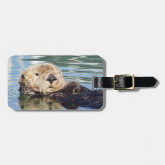 Etiqueta De Bagagem Cute sea otter