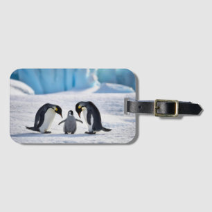 Etiqueta de Bagagem da Família Pinguim