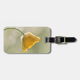 Etiqueta de Bagagem da Manhã