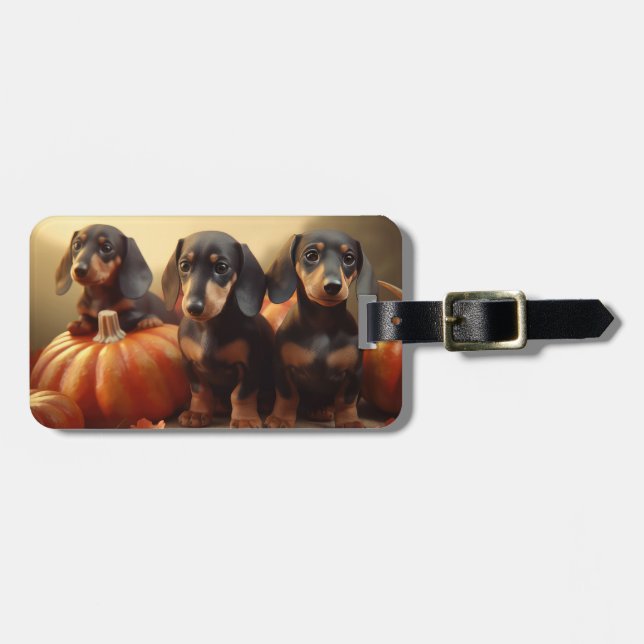 Etiqueta De Bagagem Dachshund Puppy Autumn Delight Pumpkin (Frente Horizontal)
