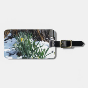 Etiqueta De Bagagem Daffodilos amarelos na neve